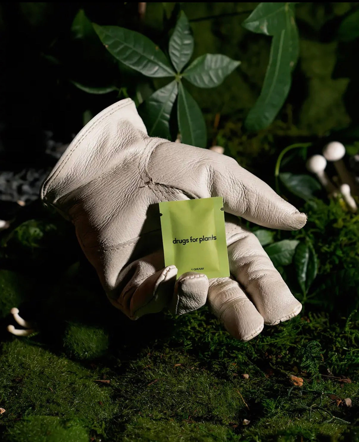 Hand wearing a white glove holding a green packet labeled 'drugs for plants' against a natural background with leaves and moss.