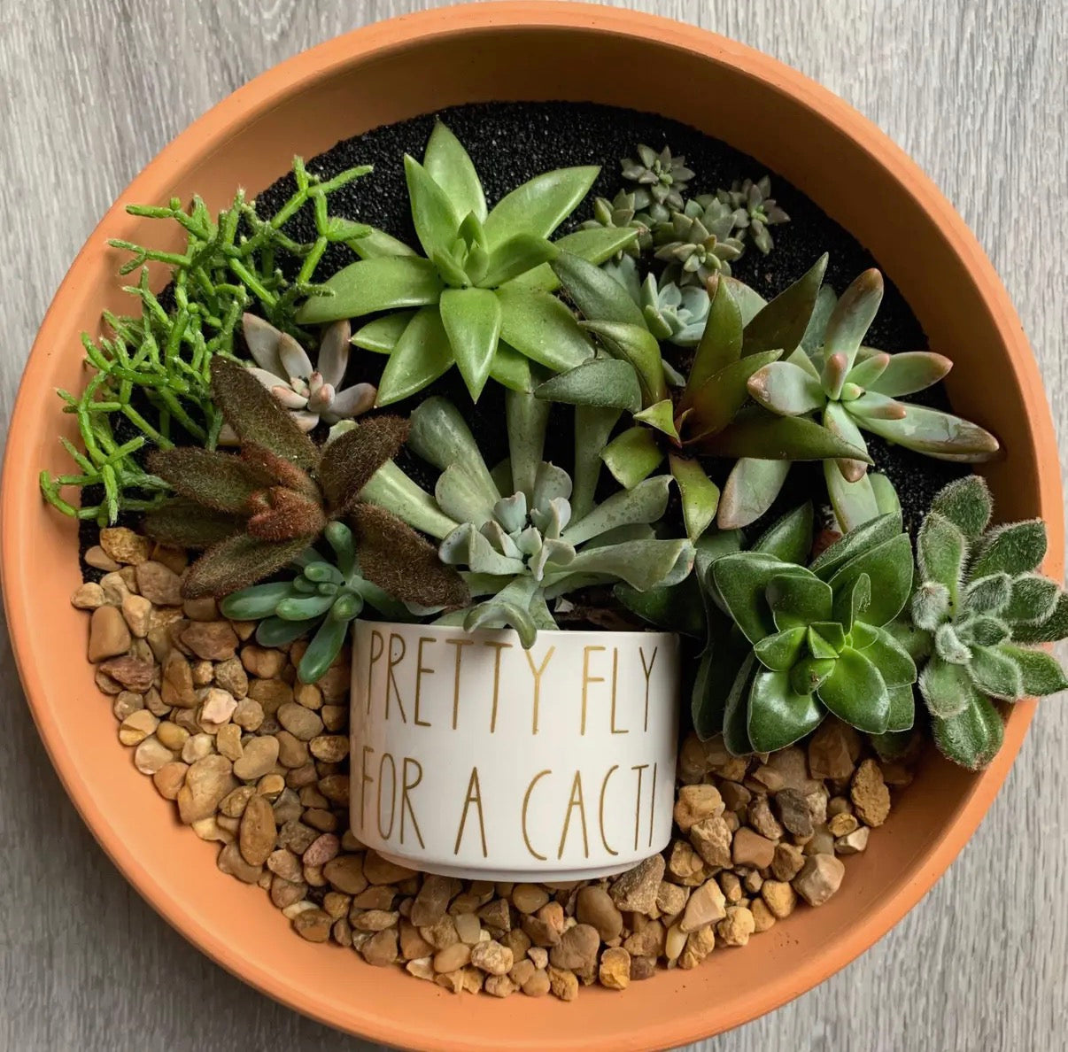 Terrarium with succulents and a small white pot with text, set on a wooden surface.