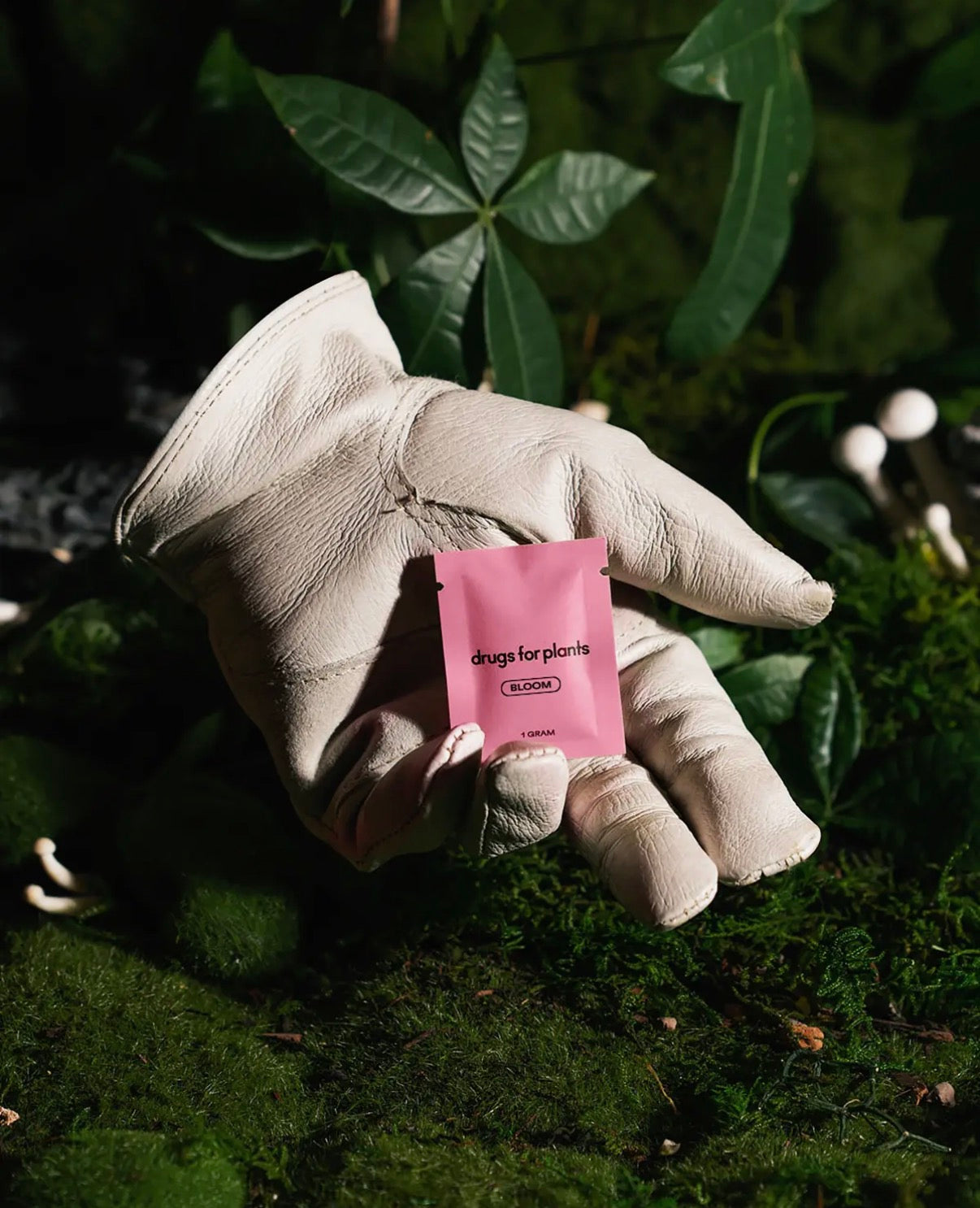 Hand wearing a white glove holding a pink packet labeled 'drugs for plants' against a green leafy background