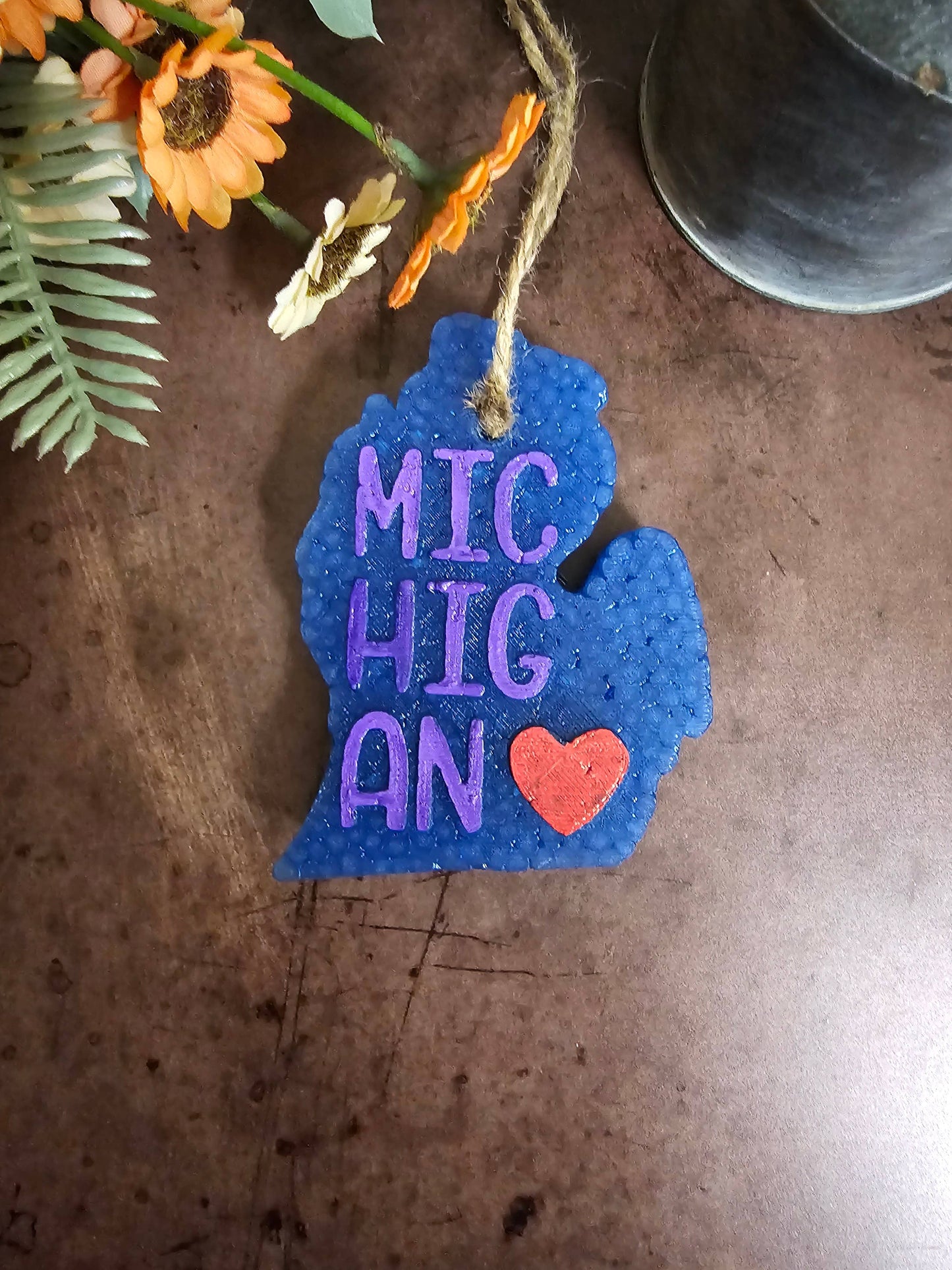 Michigan Freshie