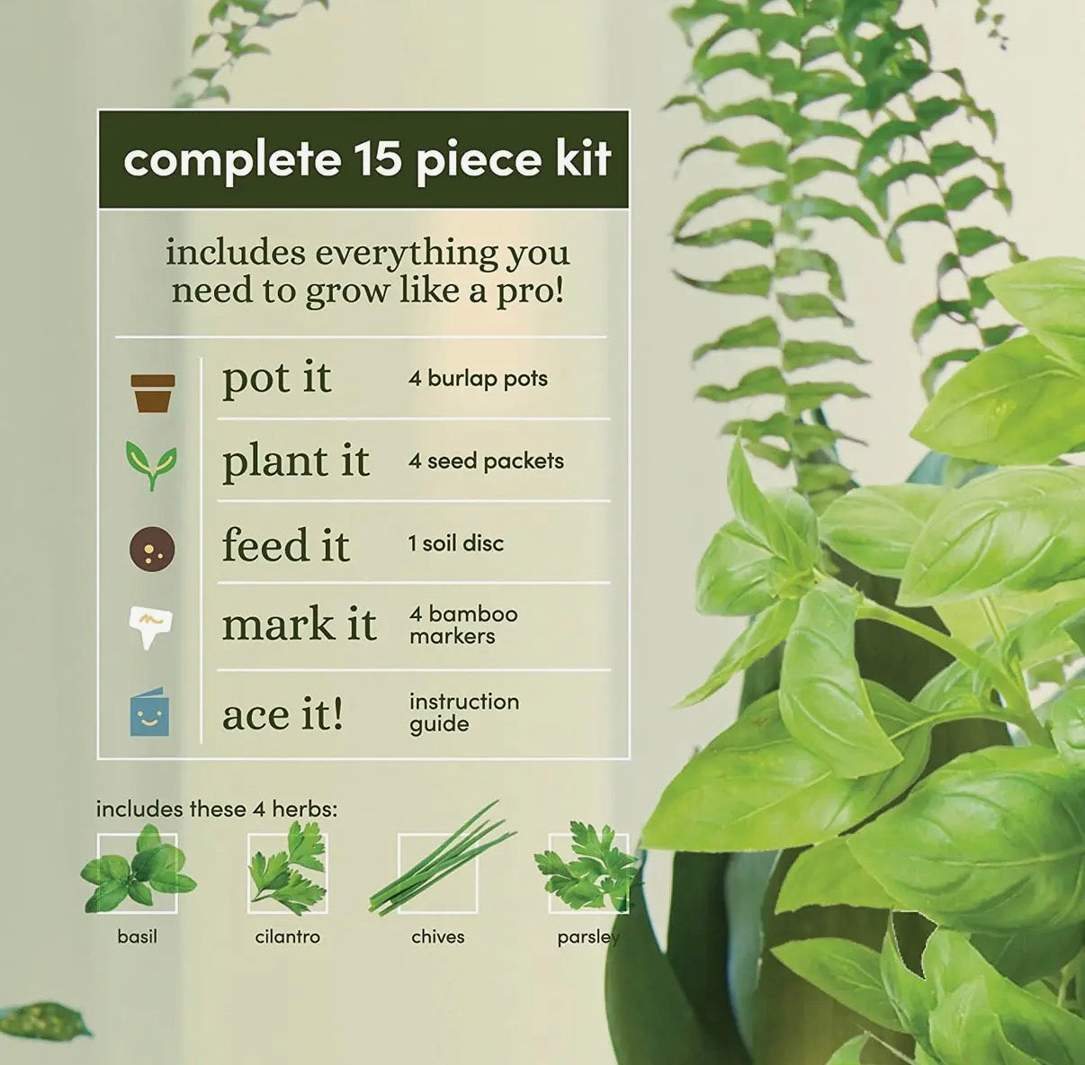 Herb gardening kit with plants and text on a light background