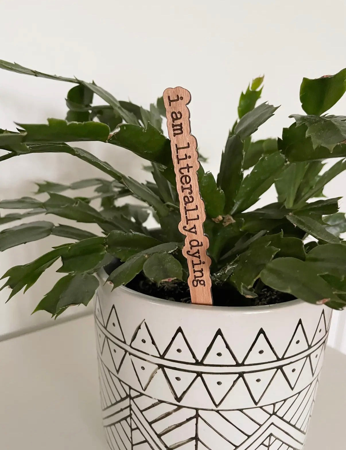 Potted plant with a wooden tag reading 'I am literally dying' on a white background