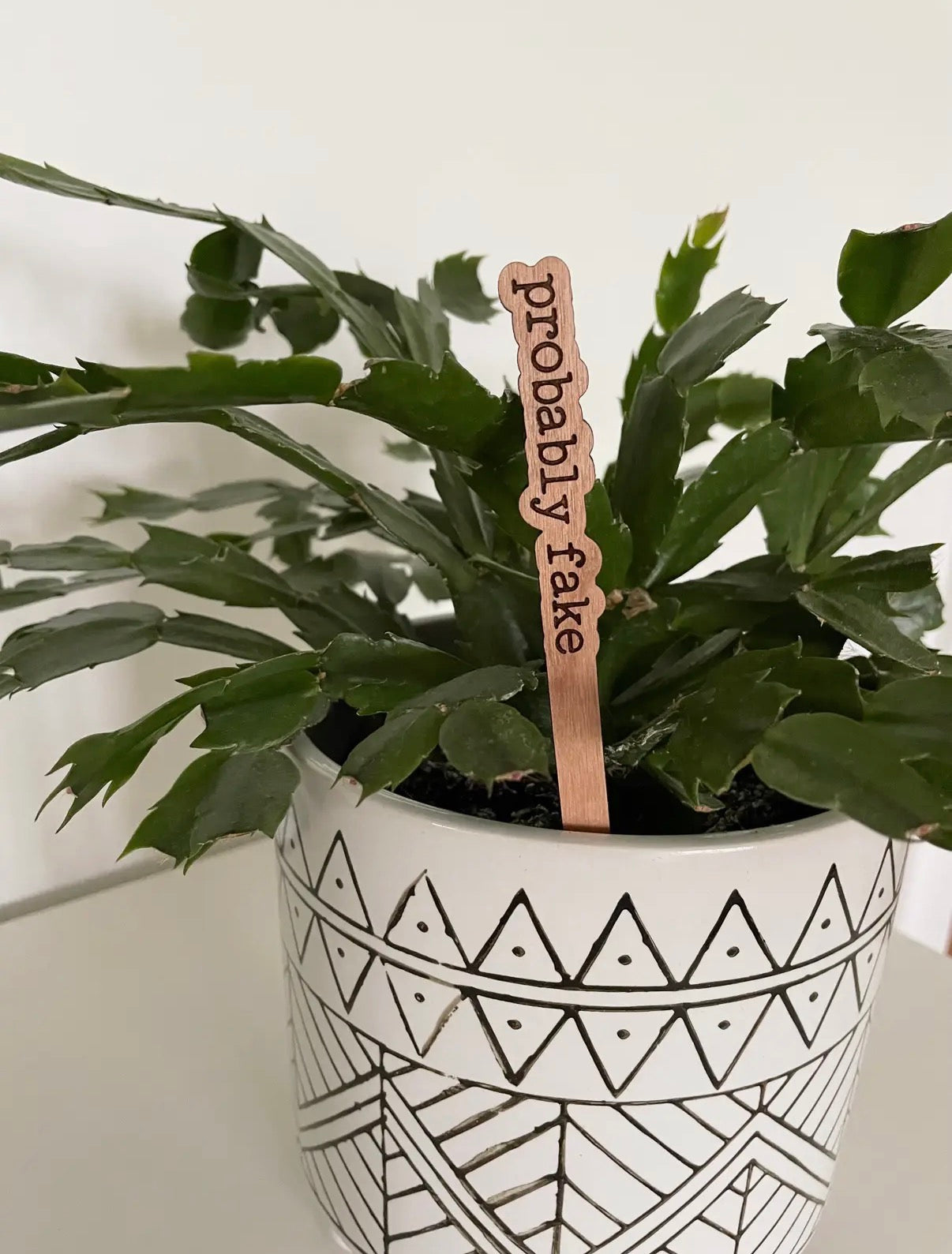 Potted plant with a decorative tag labeled 'probably fake' on a white background