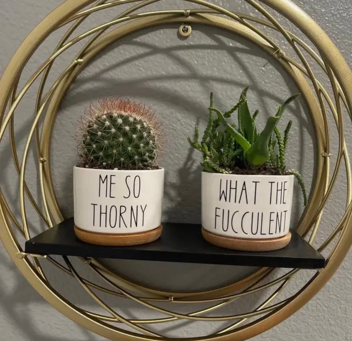 Two potted plants on a shelf with humorous labels, surrounded by a decorative gold circular frame.