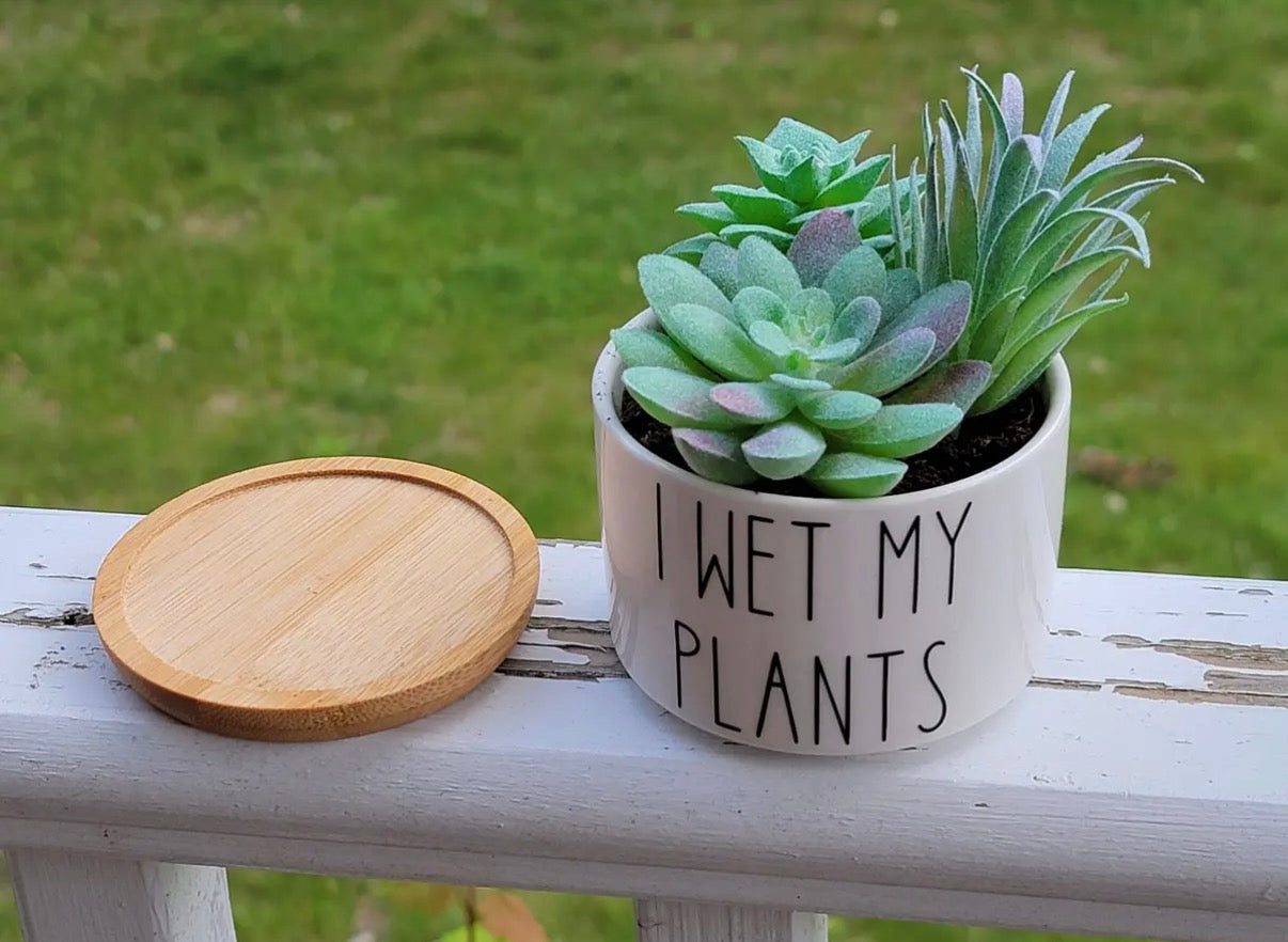 Potted succulents in a white pot with 'I Wet My Plants' text on a wooden surface.