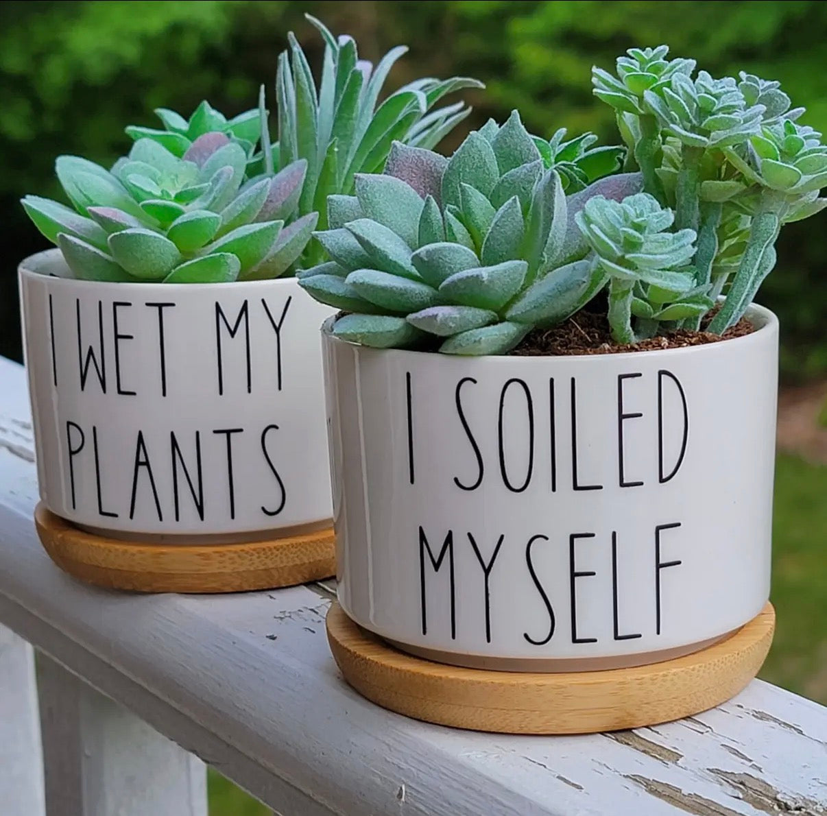 Two planters with succulents and humorous text on a wooden surface.