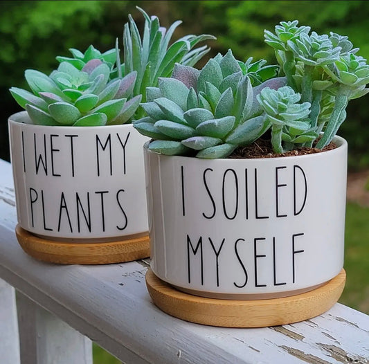 Two planters with succulents and humorous text on a wooden surface.