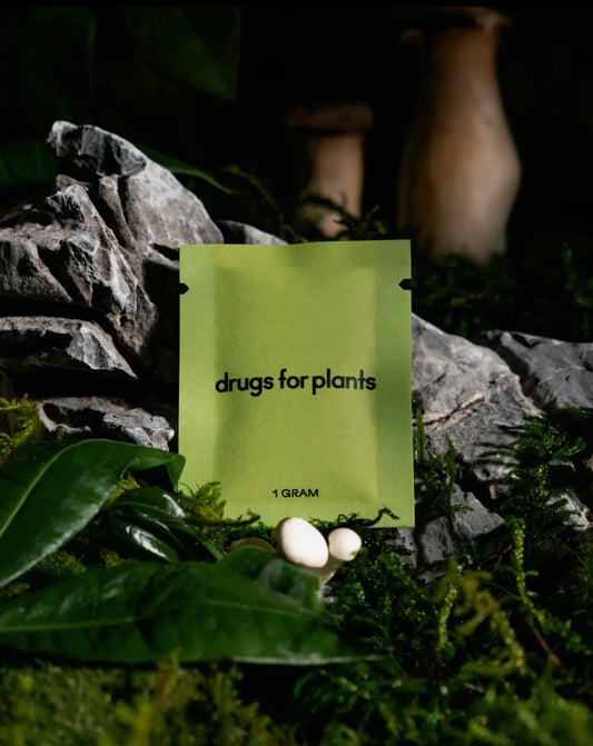 Green packet labeled 'drugs for plants' on a natural background with rocks and leaves.
