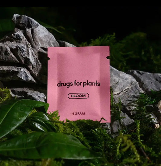 Pink package labeled 'drugs for plants' on a natural background with rocks and foliage.