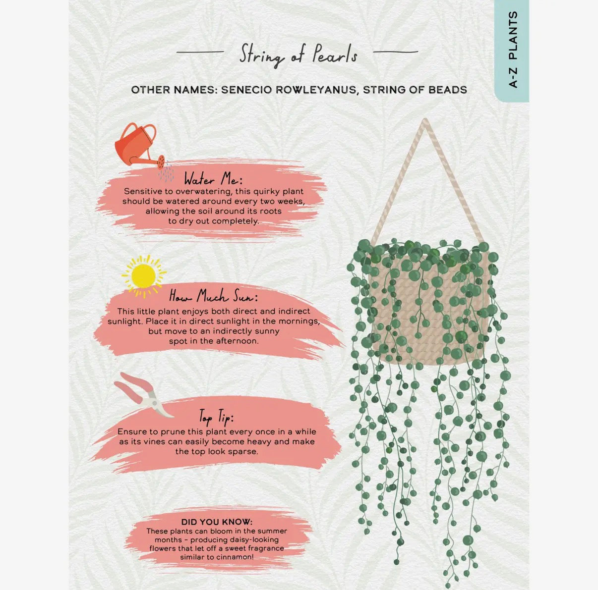 Please Don't Die - Houseplants Guide Book For Plant Moms